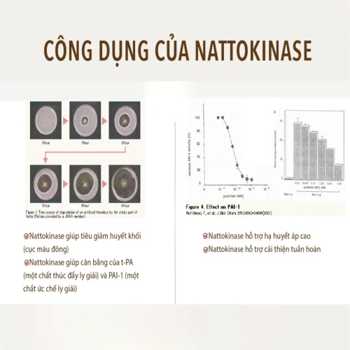 Phòng ngừa tai biến, đột quỵ Nattokinase Premium 10.000FU 300 viên